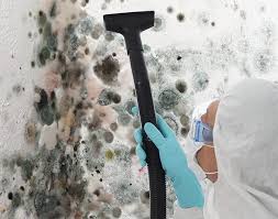 Mold Odor Removal Services in Liverpool, NY